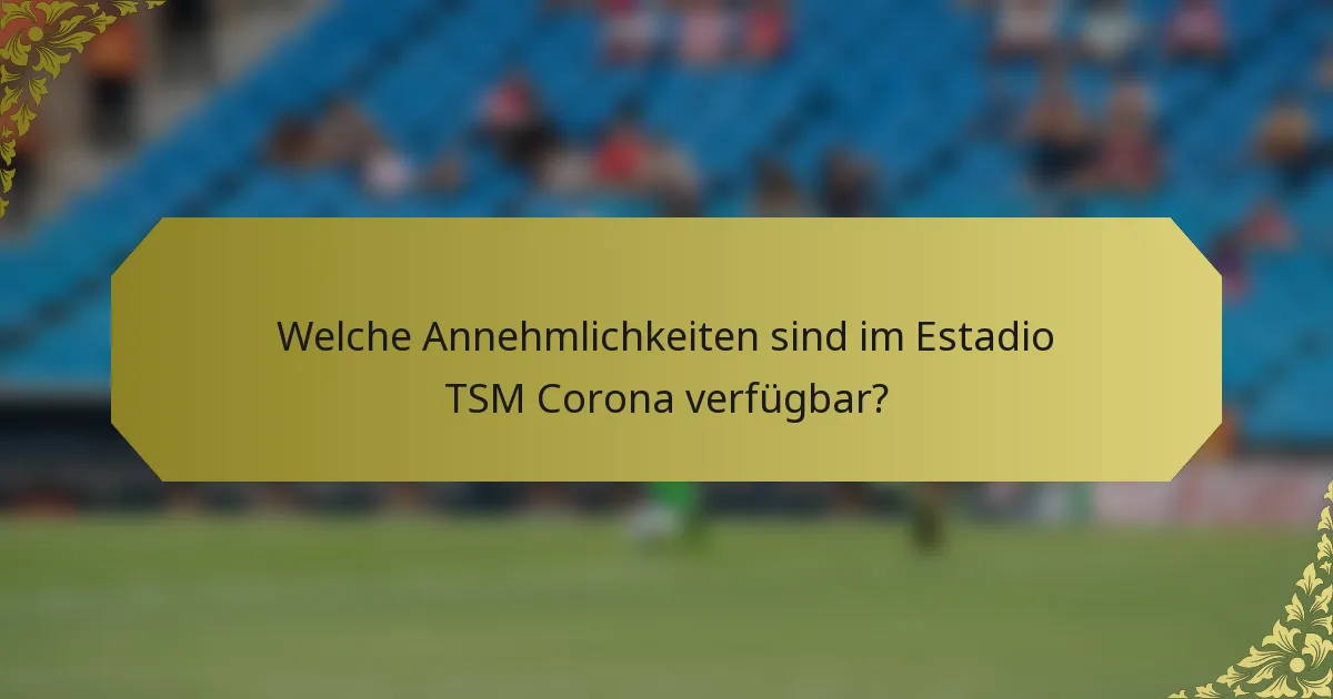 Welche Annehmlichkeiten sind im Estadio TSM Corona verfügbar?