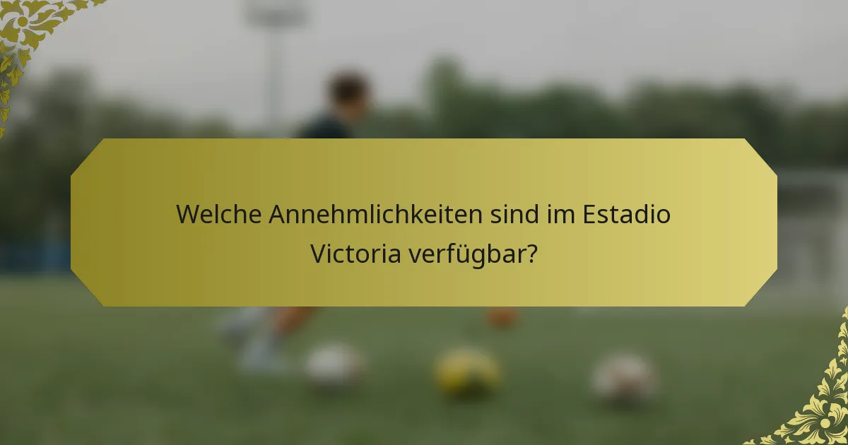 Welche Annehmlichkeiten sind im Estadio Victoria verfügbar?