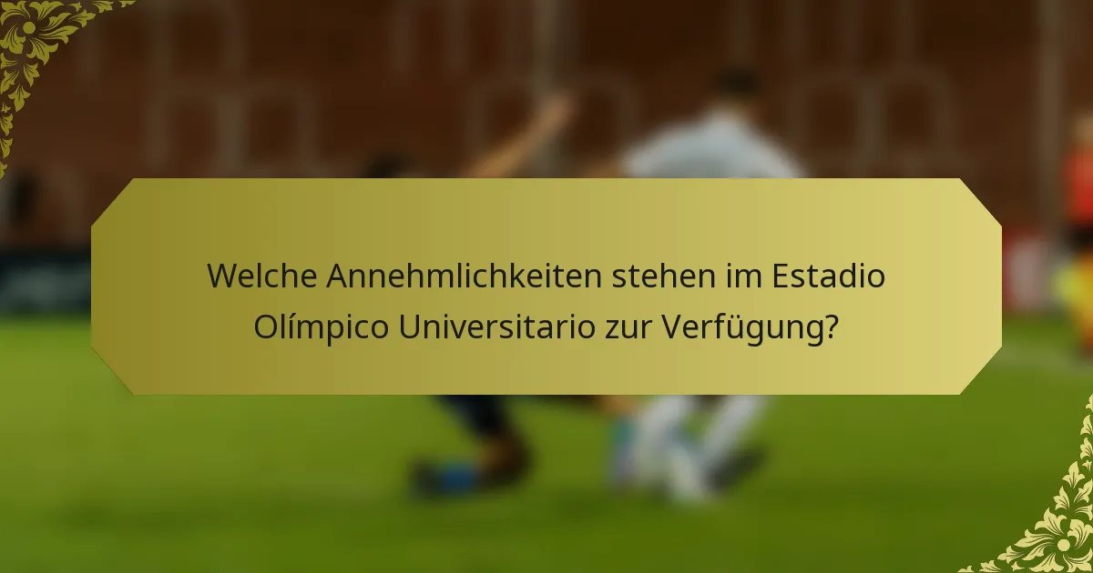 Welche Annehmlichkeiten stehen im Estadio Olímpico Universitario zur Verfügung?